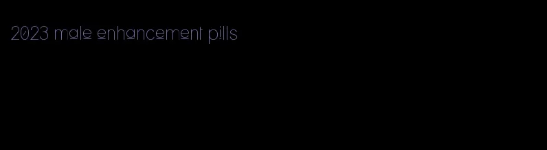 2023 male enhancement pills