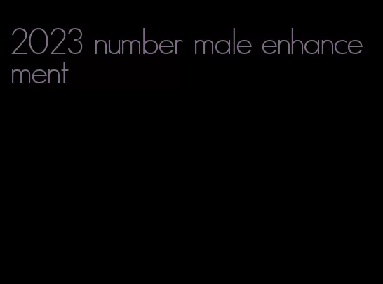 2023 number male enhancement