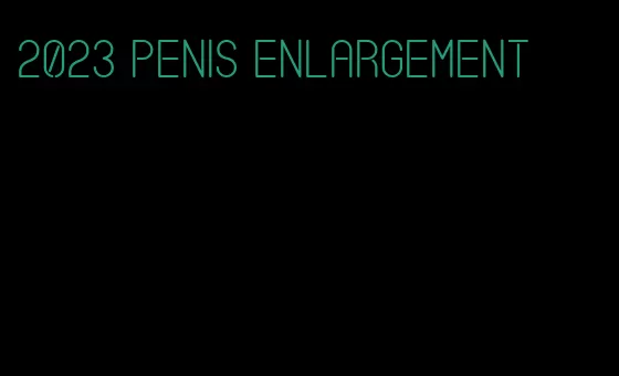 2023 penis enlargement