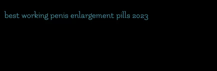 best working penis enlargement pills 2023