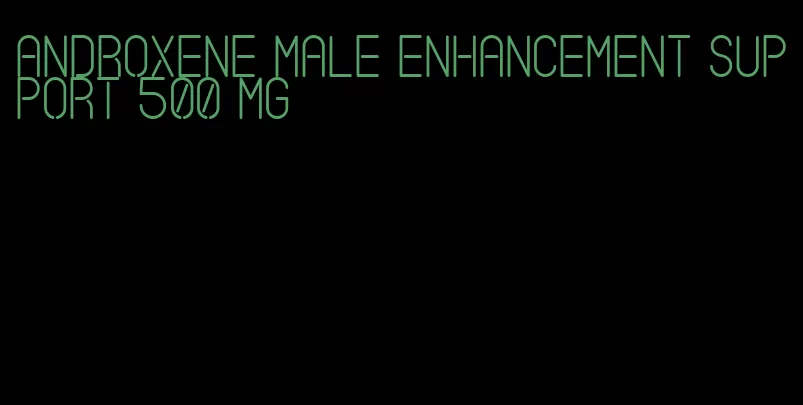 androxene male enhancement support 500 mg