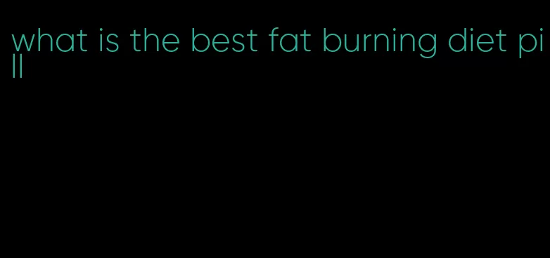 what is the best fat burning diet pill