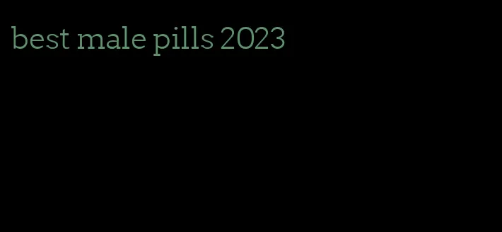 best male pills 2023