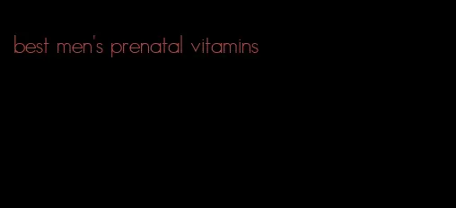 best men's prenatal vitamins