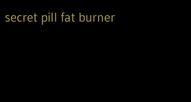secret pill fat burner