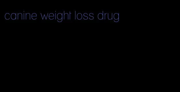 canine weight loss drug