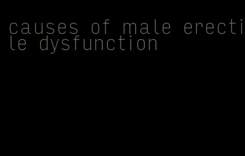 causes of male erectile dysfunction