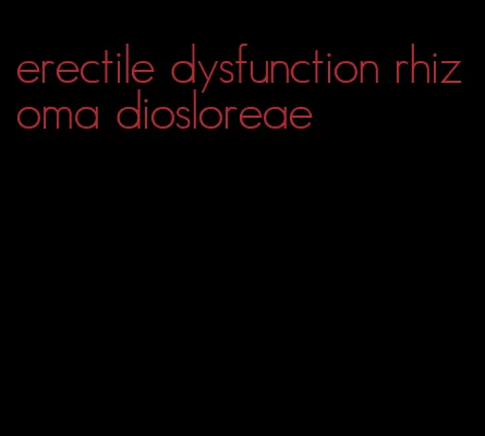 erectile dysfunction rhizoma diosloreae