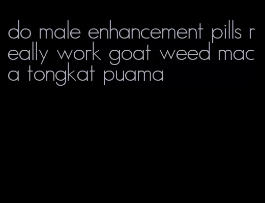 do male enhancement pills really work goat weed maca tongkat puama