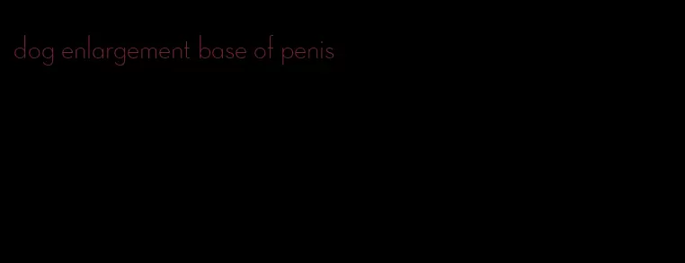 dog enlargement base of penis