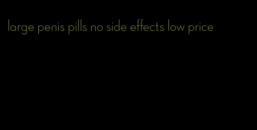 large penis pills no side effects low price