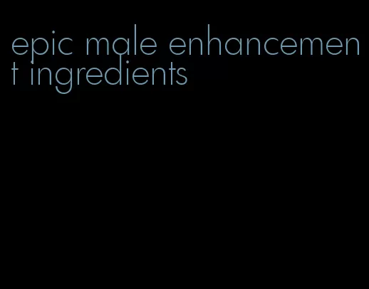 epic male enhancement ingredients