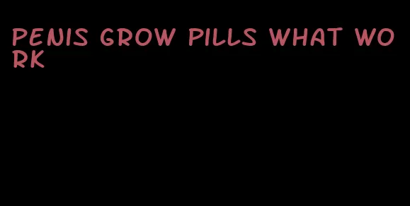 penis grow pills what work