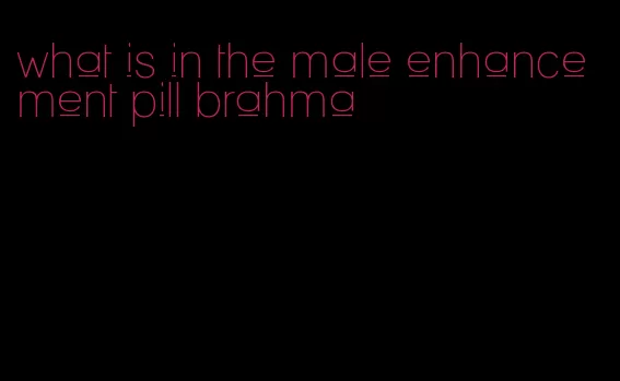 what is in the male enhancement pill brahma