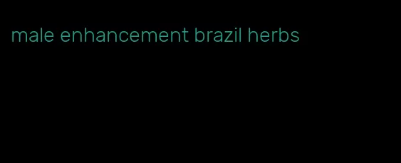 male enhancement brazil herbs