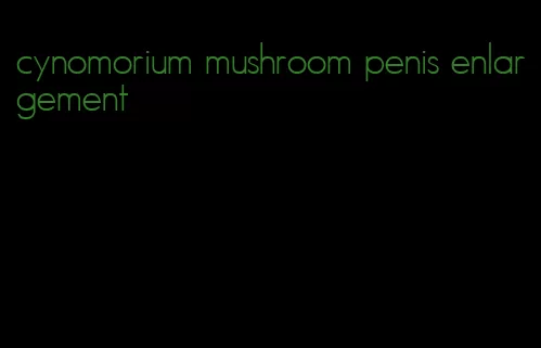 cynomorium mushroom penis enlargement