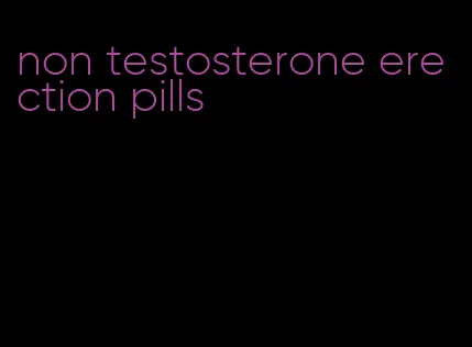 non testosterone erection pills