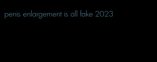 penis enlargement is all fake 2023