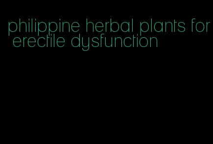 philippine herbal plants for erectile dysfunction