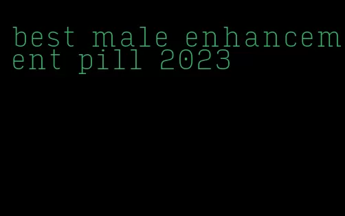 best male enhancement pill 2023