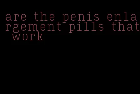are the penis enlargement pills that work