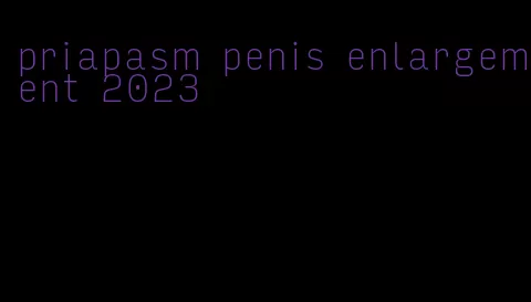 priapasm penis enlargement 2023