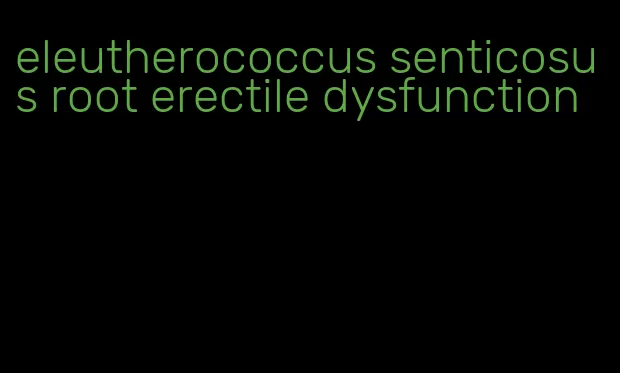 eleutherococcus senticosus root erectile dysfunction
