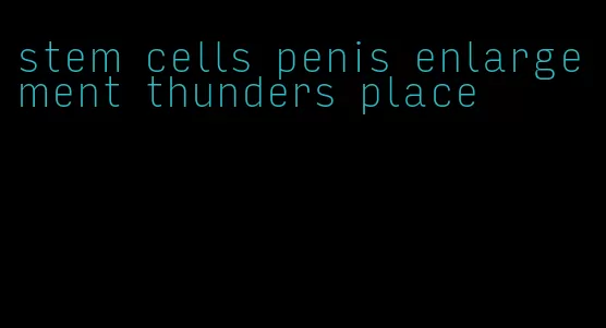stem cells penis enlargement thunders place
