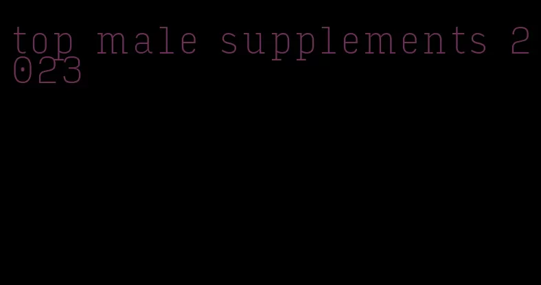 top male supplements 2023