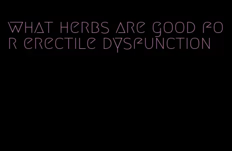 what herbs are good for erectile dysfunction