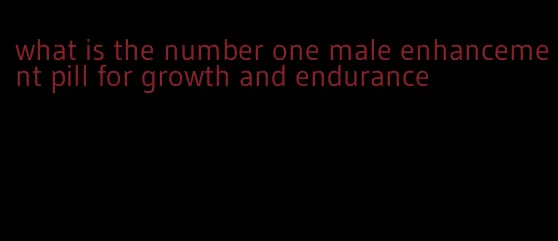 what is the number one male enhancement pill for growth and endurance